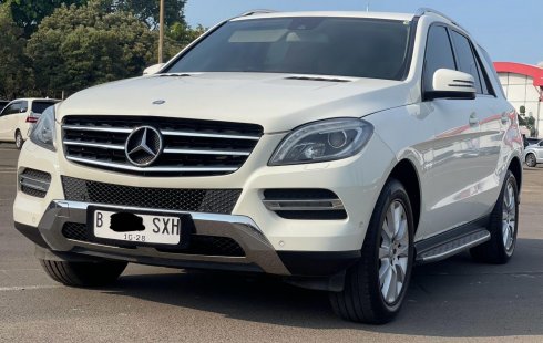 MERCY ML250 CDI AT 2013 TERAWAT DIJUAL CEPAT TERMURAH