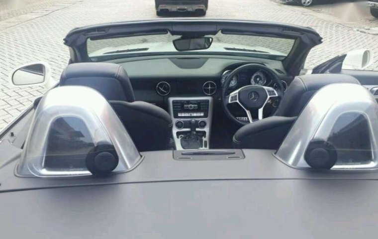 Mercedes-Benz SLK250 2012 dijual