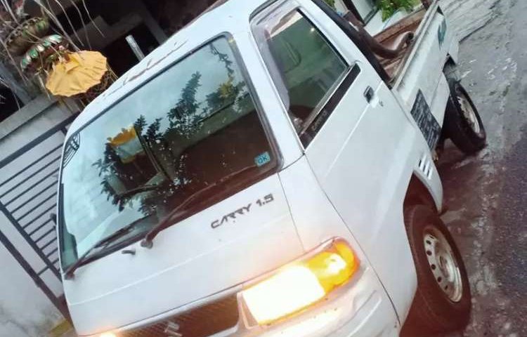 Jual mobil Suzuki Carry 2013 bekas, Bali