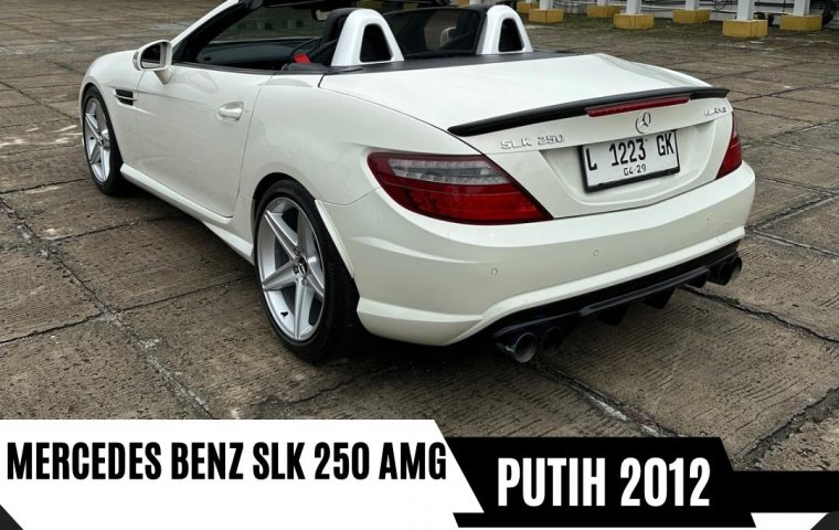 Mercedes-Benz SLK SLK 250 2012