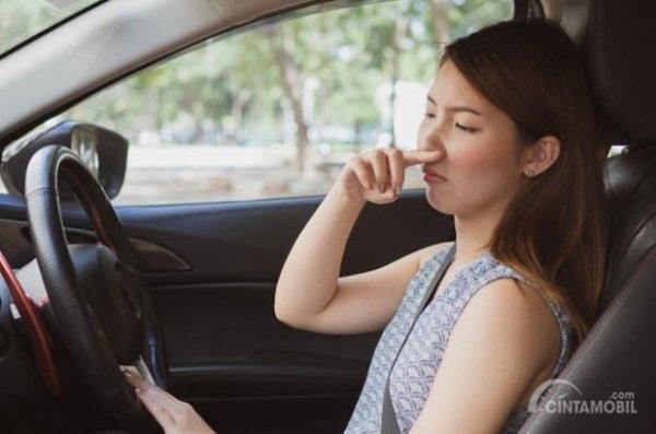 Lakukan Hal Praktis Ini, Tips Menghilangkan Bau Pesing Di Mobil