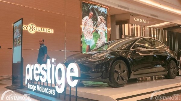 Tesla Model 3 Jadi Raja Mobil Listrik di Korea Selatan