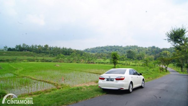 Foto tampak belakang Toyota Camry 2.5 Hybrid 2015