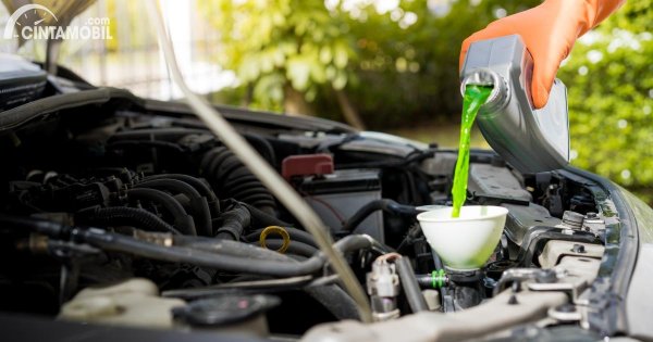 Bisa Dikerjakan Sendiri di Rumah, Begini Cara Menguras Radiator Mobil