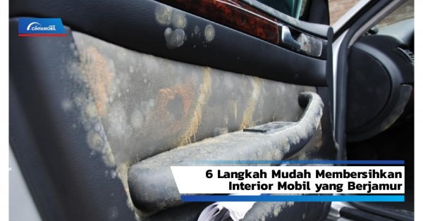 Cara Membersihkan Interior Mobil yang Berjamur dengan Mudah dan Murah
