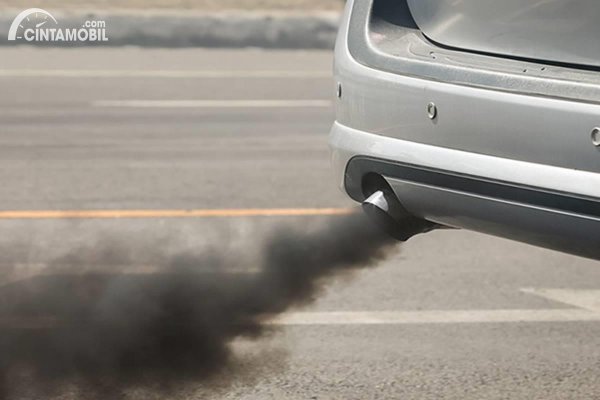 Inilah Kandungan Gas Buang yang Keluar Dari Knalpot