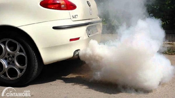 Mobil Mengeluarkan Asap Putih saat di Starter? Kenali Penyebabnya