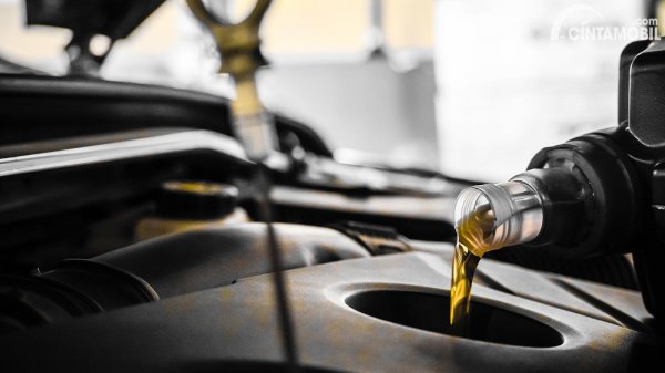 Varian Toyota Motor Oil (TMO) untuk Oli Standar Toyota Rush Anda