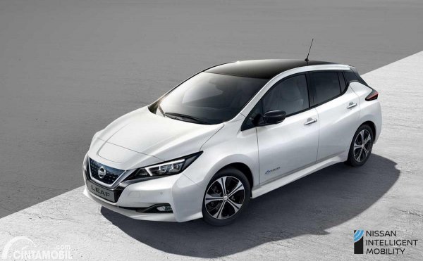 Terancam Discontinue, Inikah Pengganti Mobil Listrik Nissan Leaf?