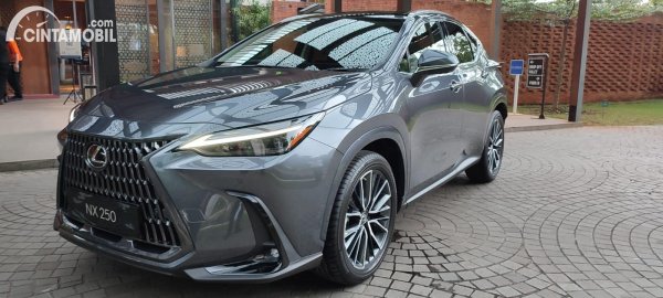 Bukan Untuk Crazy Rich Palsu, Ini Istimewanya The All New Lexus NX